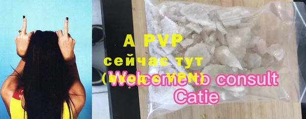 сатива Богородицк
