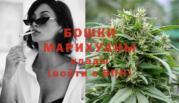 сатива Ростов